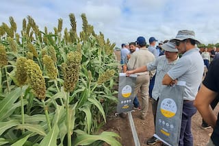 Una empresa explicó qué hacer para tener un superrinde