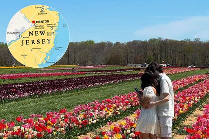 Desde su apertura en 2018, la granja organiza un evento anual durante la primavera (hollandridgefarms/Canva)