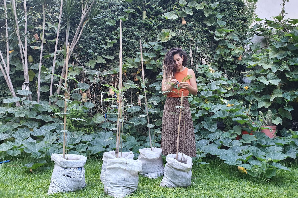 Desde su cuenta @ecointensa, Nati Mazzei da tips para una #cuarentenasostenible