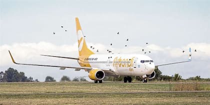 Para el CEO de Flybondi, Mauricio Sana, operar en la Argentina es como jugar “un fútbol físico” en el que “la fortaleza se da en el barro”