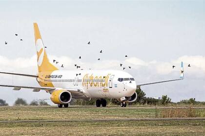 Desde su llegada al país, en 2018, las low cost, entre ellas Flybondi, transportaron en total a 4 millones de personas