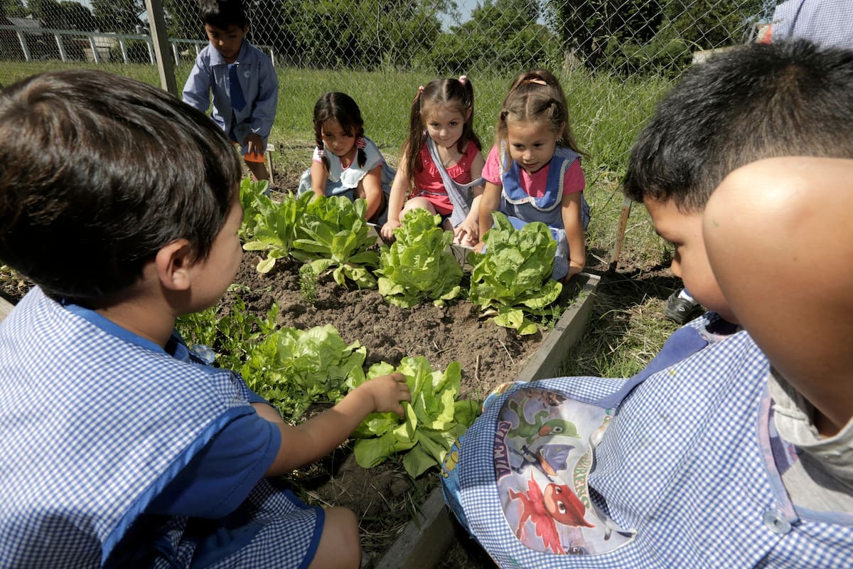 Desde un primer momento, a los chicos les llamaba la atención cómo "la semillita que habían plantado se transformaba en una lechuga".