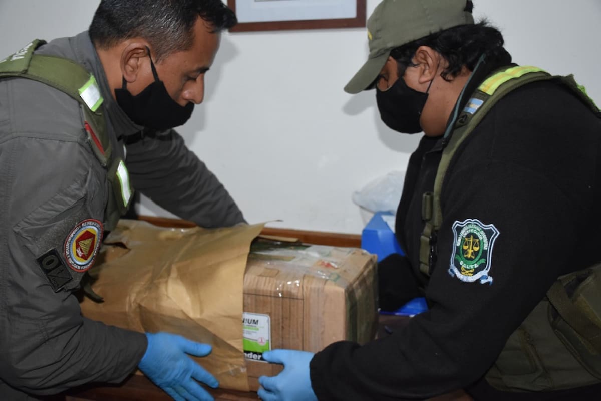 Desde una prisión mendocina se manejaba la circulación de cocaína en encomiendas