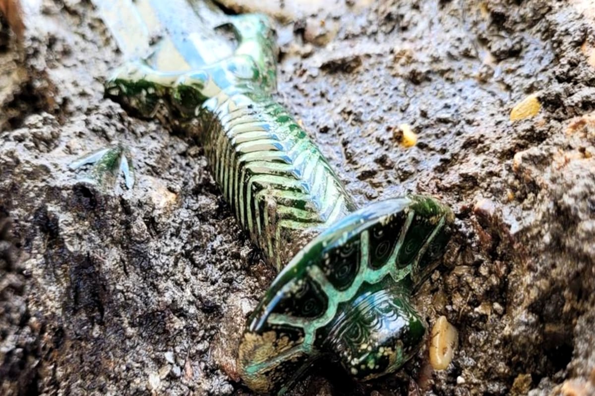 Desentierra una rara espada “octogonal” de 3000 años de antigüedad en Alemania: “Todavía brilla”