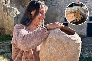 Desentierran en Sicilia una ánfora con alimento que sobrevivió más de 20 siglos intacto