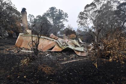 Los incendios afectan al país desde septiembre