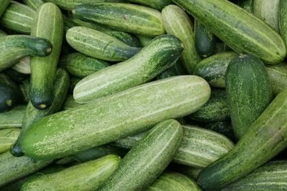 Desinflamatorio: el pepino contiene potasio, fósforo y magnesio, así como en vitaminas C, A, E (Foto Pexels)