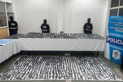 Desmantelan banda narco que controlaba 350 hectáreas en Transradio.