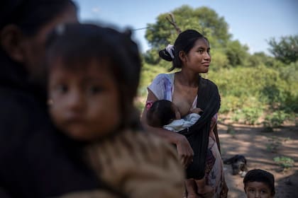 Mujeres wichis junto a sus hijos en La Puntana, una de las comunidad salteñas donde tiene presencia la asociación civil Pata Pila