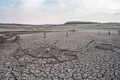 DESOLACIÓN. Tierra reseca en el estado australiano de Nueva Gales del Sur, el más castigado por una sequía que ha hecho desaparecer ríos y lagos