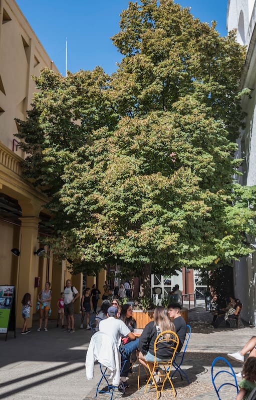 Después de 300 años y distintos usos, en 1980 se convirtió en epicentro del arte joven, con una remodelación a cargo de Clorindo Testa, Jacques Bedel y Luis Benedit.