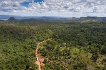 Uno de los caminos que lleva al santuario de elefantes en Brasil