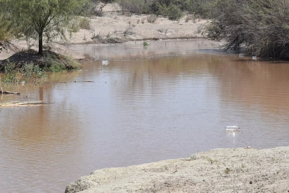 Después de casi una década de sequía, el río Mendoza muestra su cauce con agua de deshielo cordillerano