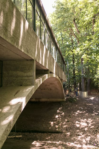 Después de décadas de abandono y vandalismo, la Casa sobre el Arroyo recupera su brillo original gracias a un minucioso trabajo de restauración.