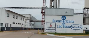 Comienza a producir 350 toneladas de quesos por mes la planta láctea paralizada durante seis meses