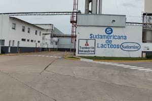 Comienza a producir 350 toneladas de quesos por mes la planta láctea paralizada durante seis meses