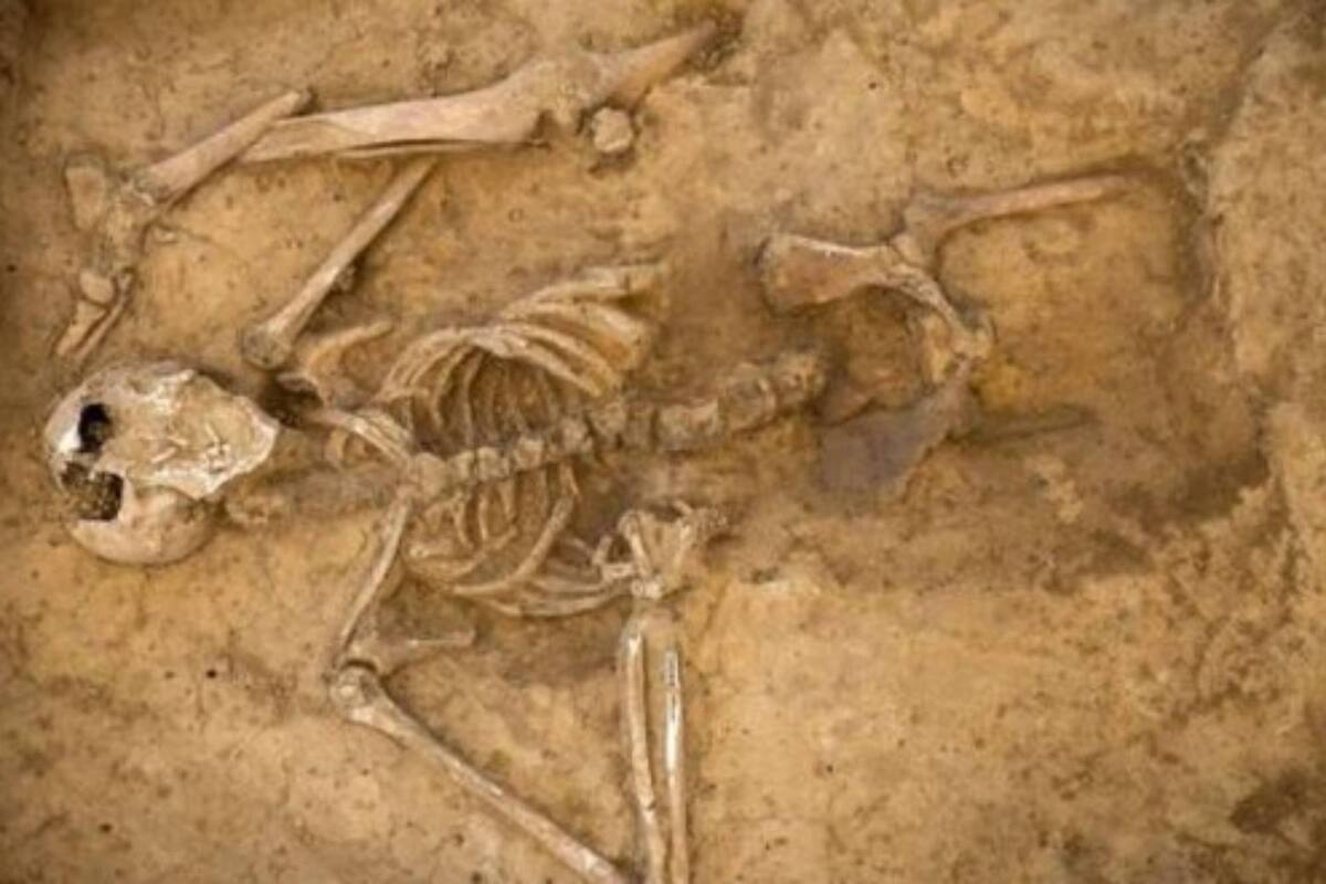 Después de mucho tiempo, un grupo de investigadores encontró el singular motivo detrás de la desaparición de cadáveres de la batalla de Waterloo