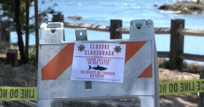 Después de que un hombre fue atacado por un tiburón blanco en California, la playa fue cerrada durante 72 horas; las autoridades intentaron hallar al tiburón pero no lo consiguieron