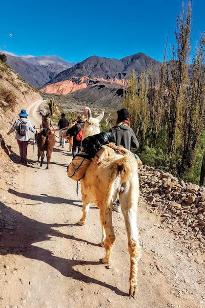 Después de una primera experiencia en Villa La Angostura, el segundo viaje que organizó por el interior fue a la Quebrada de Humahuaca. Durante cinco días, sorprendió a las seis mujeres que guió con experiencias distintas