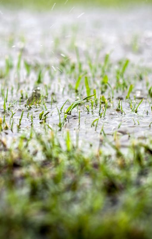 Después de varias temporadas marcadas por la sequía de La Niña, el clima argentino está por cambiar de signo