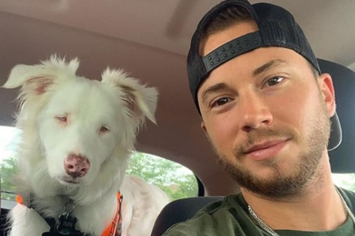 Después de varios intentos, un joven veterinario logró despertar a su perra ciega sin asustarla.