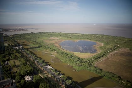 Después del piso 43 la vista de la Ciudad es 360 grados ya que supera la línea de los 180 metros de los otros edificios de la zona. Imagen de la reserva ecológica a 235 metros.