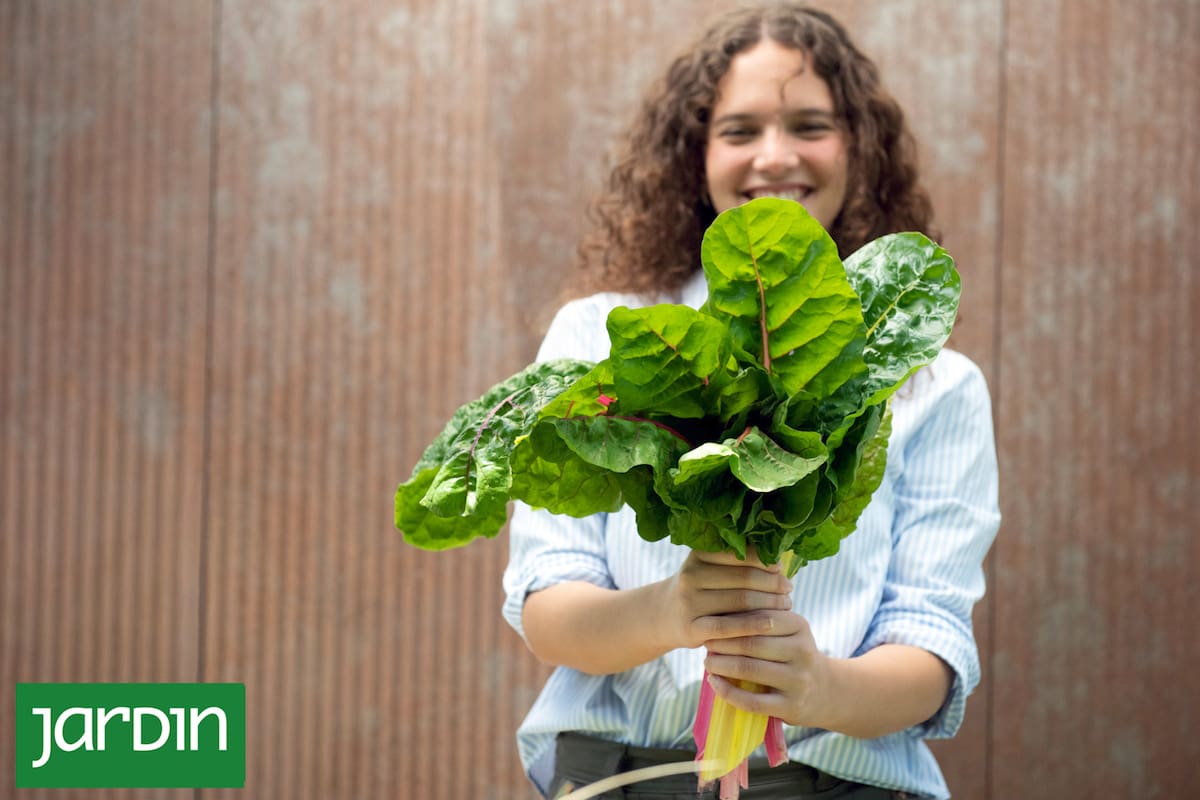 Después del verano generoso, llega el momento de guardar lo que ofrece la huerta