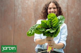 Cómo transformar la abundancia de la huerta en conservas para todo el año