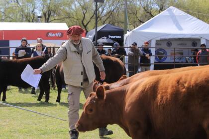 Destacado nivel en las juras
