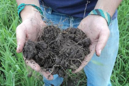 Destacan las prácticas de la agricultura local