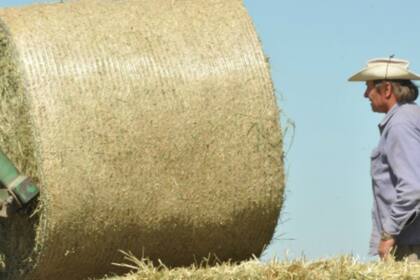 Destacan que hay oportunidades tanto en el mercado interno como la exportación