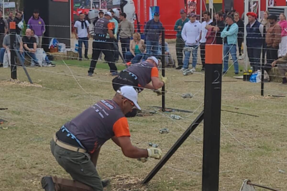 Destacaron que el desarrollo de la contienda constó de rondas clasificatorias y una instancia final con un jurado