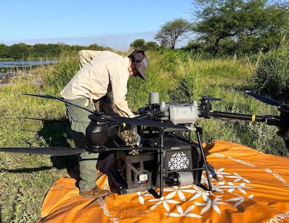 Destacaron que las semillas no viajan sueltas en los drones: se preparan en cápsulas biodegradables (iSeeds) que incluyen bioestimulantes para potenciar la germinación y establecimiento de las plántulas