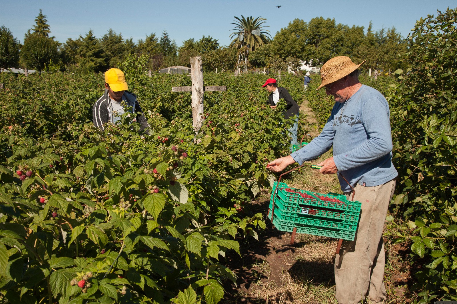 Anunciaron un plan de US$8500 millones para el agro