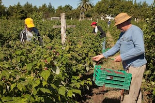 Dieron cierre oficial a un fideicomiso de apoyo a la agricultura familiar