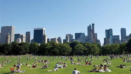 Destino habitual para una tarde de picnic y sol