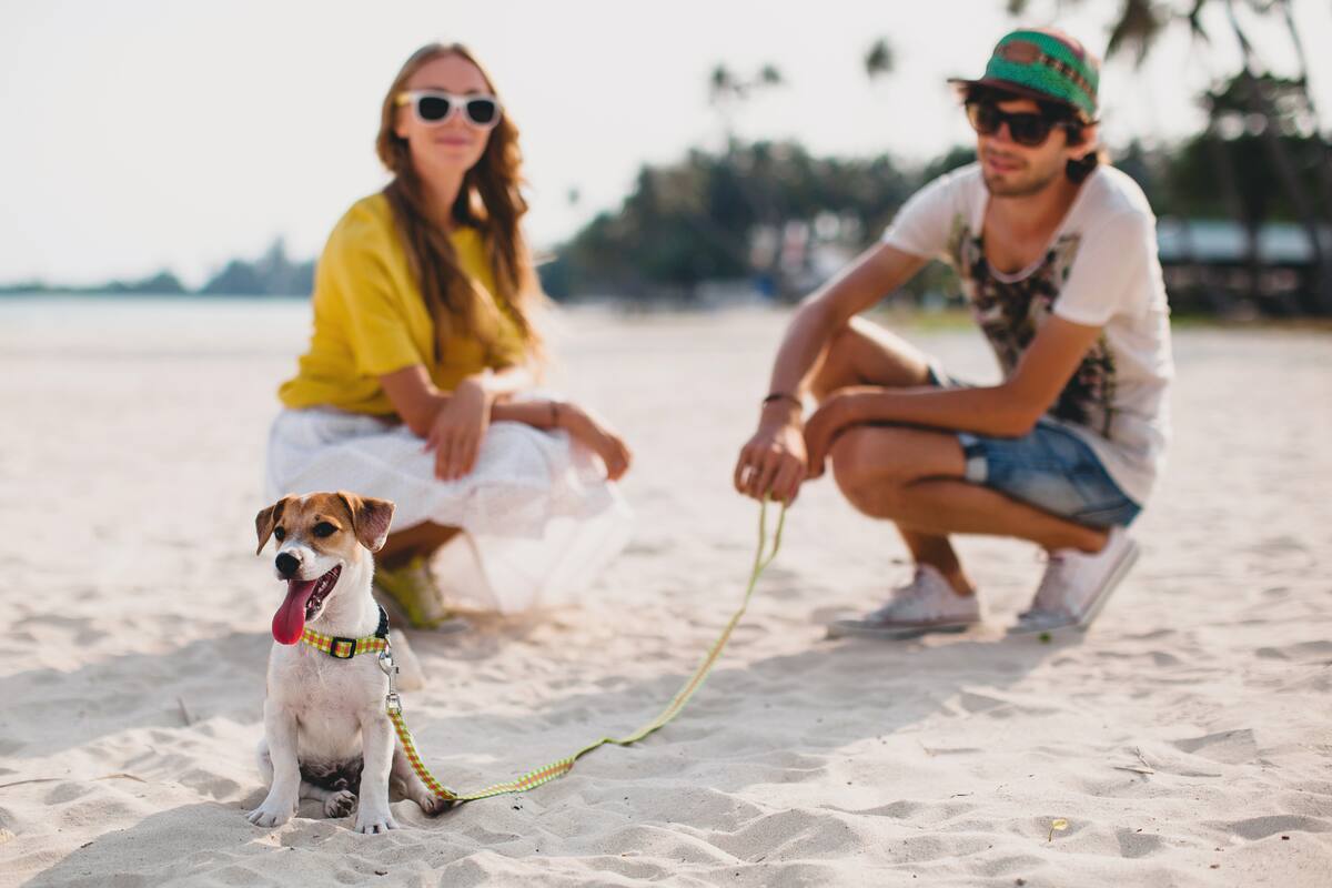 Destinos pet-friendly