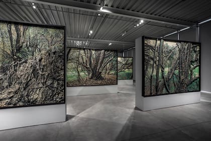 Detalle de "Argentina (paisajes)", de Mondongo, en Malba Puertos