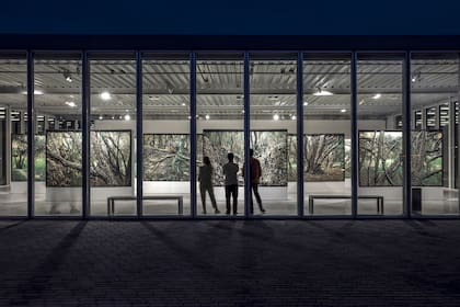 Detalle de "Argentina (paisajes)", instalación de Mondongo exhibida en Malba Puertos y comprada por Buhar