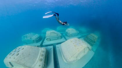 Detalle de "Concrete Coral" de Leandro Erlich en el Reefline