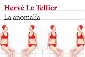 Detalle de la ilustración de tapa del libro "La Anomalía" (Seix Barral), de Hervé Le Tellier