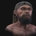 Científicos lograron reconstruir cómo era el rostro del primer Homo sapiens, un humano que vivió hace 315 mil años