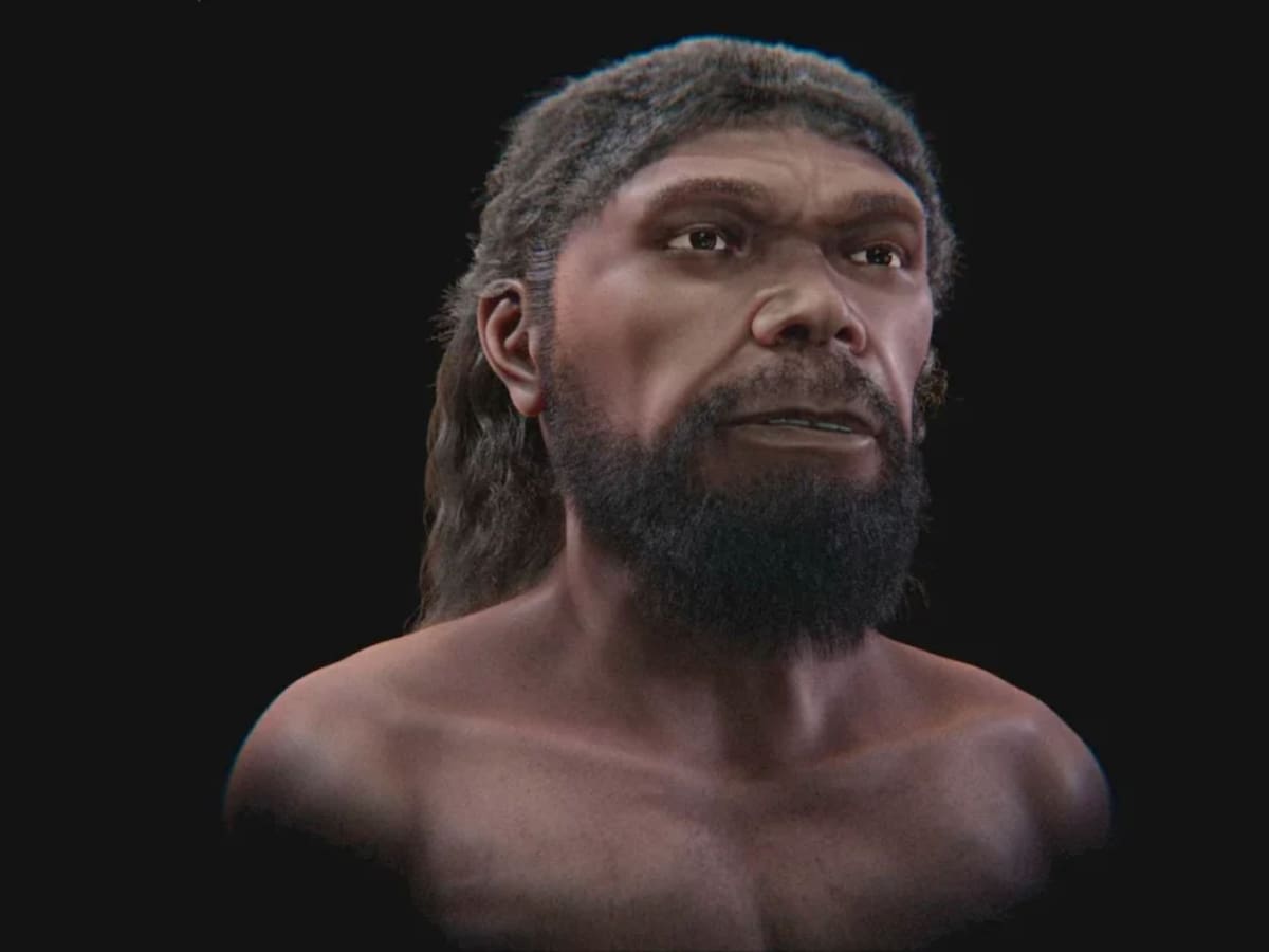 Científicos lograron reconstruir cómo era el rostro del primer Homo sapiens, un humano que vivió hace 315 mil años