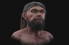 Científicos lograron reconstruir cómo era el rostro del primer Homo sapiens, un humano que vivió hace 315 mil años