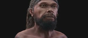 Científicos lograron reconstruir cómo era el rostro del primer Homo sapiens, un humano que vivió hace 315 mil años