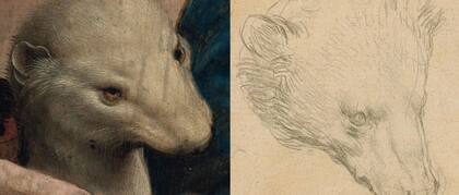 Detalle de las cabezas de los animales creados por Da Vinci