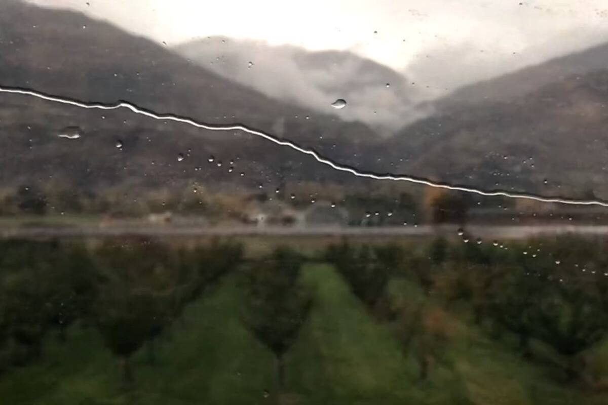 Detalle de Train, uno de los videos que integran la muestra Cámara traslúcida en Ruth Benzacar