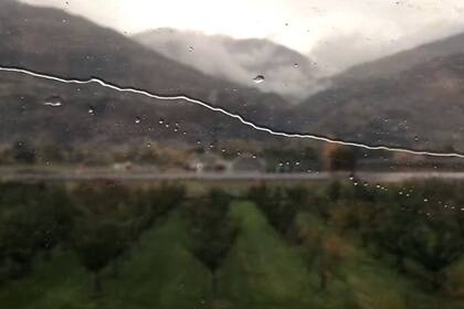 Detalle de Train, uno de los videos que integran la muestra Cámara traslúcida en Ruth Benzacar