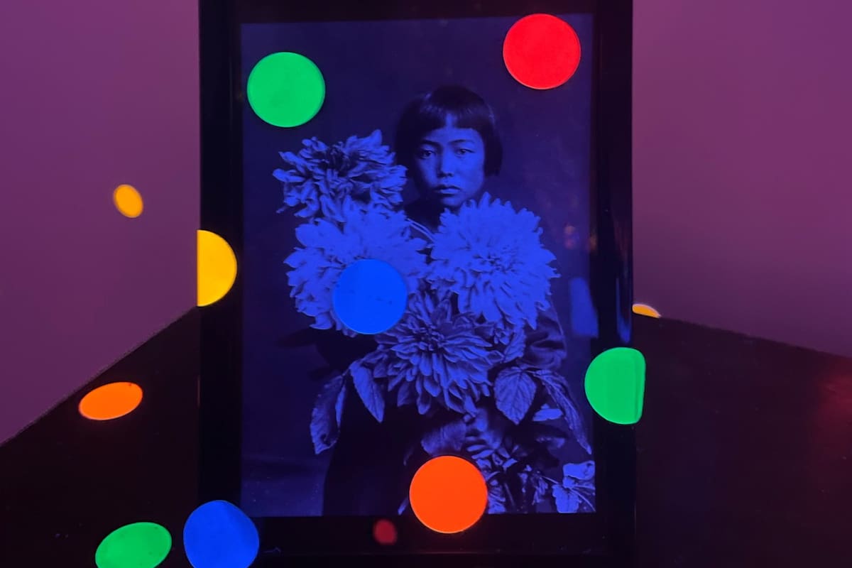 Detalle de un retrato de Kusama en la instalación Estoy aquí, pero nada (2000), en Inhotim