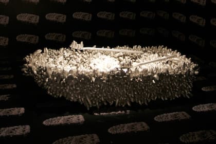 Detalle de una de las obras exhibidas en Malba en 2013. La artista reconoció que cubría sus piezas con falos porque nunca logró cerrar sus traumas infantiles: "Tengo miedo de ellos. Es una obsesión con el sexo"